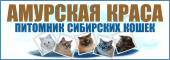 Логотип компании «Амурская Краса»