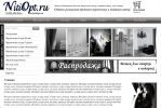 Логотип компании «Nitiopt»
