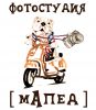 Логотип компании «МАПЕД»