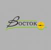 Логотип компании «Восток»