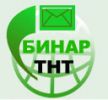 Логотип компании «Бинар ТНТ»