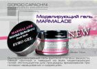 Логотип компании «" Фейс- контроль"»
