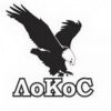 Логотип компании «ЛоКоС»